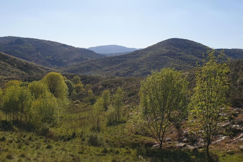 Ancienne Grange Tras Os Montes Hébergement de vacances *